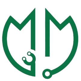 MEDA Logo